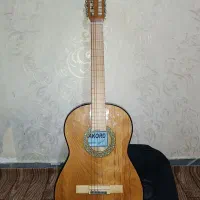 گیتار AKORD GC100