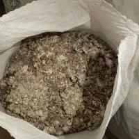 فروش فضولات کبوتر