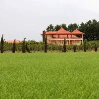 فروش-یا-معاوضه-باغ-سنددار-با-مجوز-زراعی-باغی