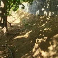 باغ|فروش دفتر صنعتی، کشاورزی، تجاری|سنندج, |دیوار