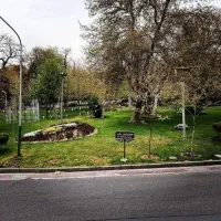 نیروی پارکبان شیفت صبح