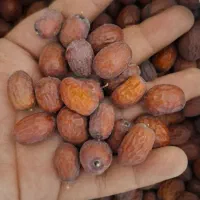 عناب ارگانیک درجه یک
