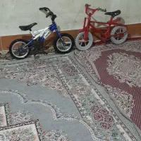 دوعدوچرخه ۱۲فروشی