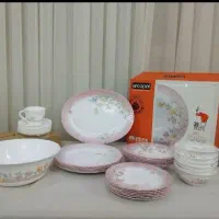 سرویس ارکوپال امارات