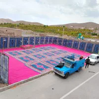 داربست عروسی