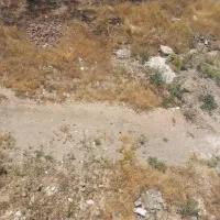 زمین-کشاورزی-دیم