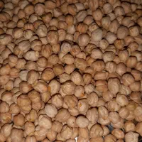 نخود کرمانشاهی