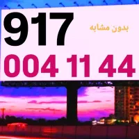 0917.004.11.44|سیمکارت|شیراز, معالیآباد|دیوار