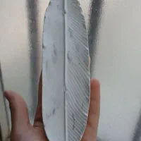 ضرف‌|ظروف سرو و پذیرایی|گنبد کاووس, |دیوار