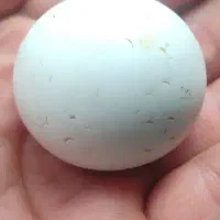 الماس لونسدالیت