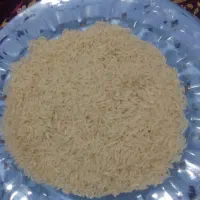 فروش‌برنج