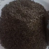 زیره کوهی اصل ،اعلا با کیفیت