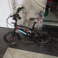 دوچرخه ۱۲ فروشی
