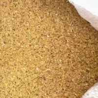 بذر یونجه آمریکایی