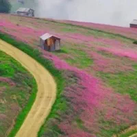 تور مخصوص بانوان ارزشمند گرامی