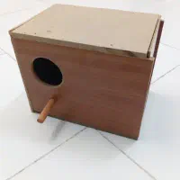 لانه طوطی برزیلی
