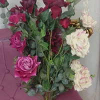 گل رز