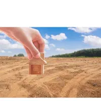 فیش آفرینش