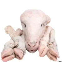 تمیز کردن کله پاچه گوسفند