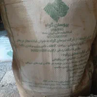 کود گوگردی