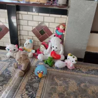 عروسک|اسباببازی بچه|قروه, |دیوار