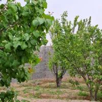 باغچه نقلی212 متری سند تکبرگ،آب و برق