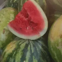هندوانه بالشتی شیرینن