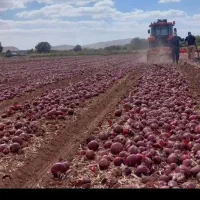 باسلام خدمت کشاورزان محترم