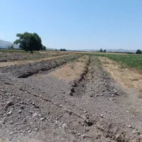 زمین مزروعی واقع در روستای دویل