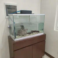آکواریوم