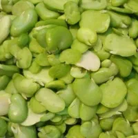 باقالی سبز امسال