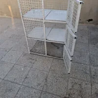 گنجه جفت کنی