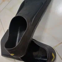فین شنا