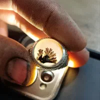 انگشتر شجر