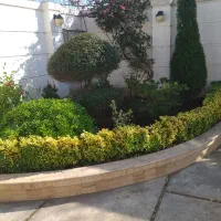 خدمات باغبانی صفر تا ۱۰۰