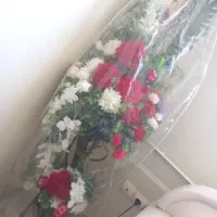 پایه گل گلیم ظرف تنقلات میوه خوری شکلات خوری قاب