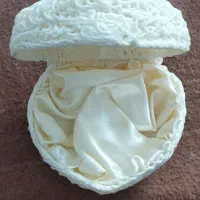 ظرف صدفی