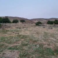زمین-آبیزار