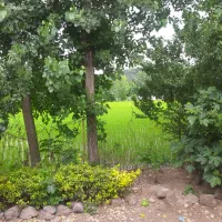 اجاره-ویلایی