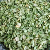باقله فیال
