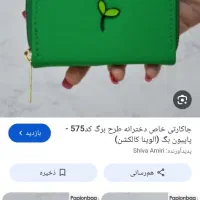 کیف کارت سبز گمشده