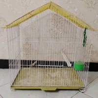 قفس پرنده