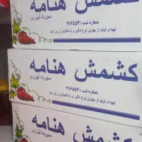 کشمش پلویی طلایی