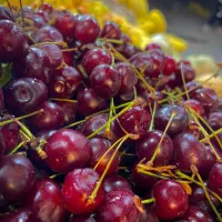 فروش میووه درجه یک