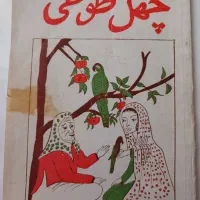 کتاب چهل طوطی
