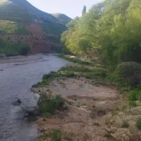 باغ ۱۰۰۰ متری همایجان سند تک برگ