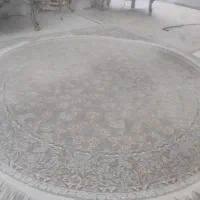 فرش 2در 2|فرش|کرمانشاه, |دیوار