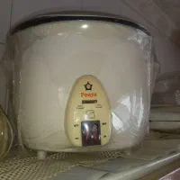 سرخ کن و پلوپزو بخار پز