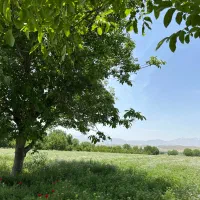 زمین کشاورزی در نهاوند