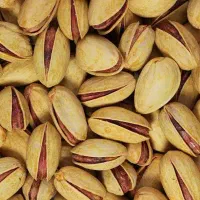 تامین پسته و خشکبار